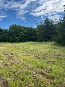 Sulphur Springs Land with Pasture