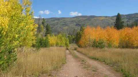 Forested Homesite in Oak Creek