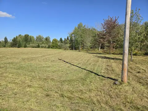 Mapleton Land Ready For Building