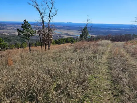Hunting Land with Deer Stands