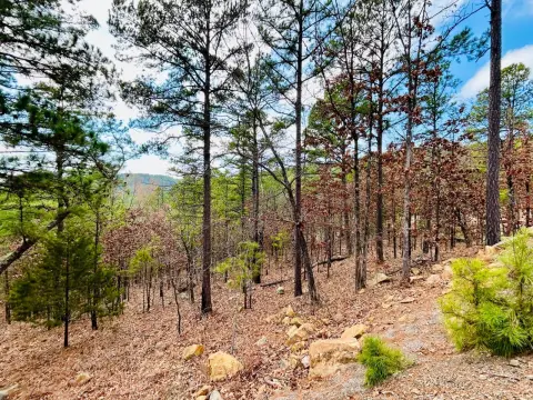 Tuskahoma Vacant Land - Lake Views