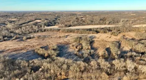 200 Acre Hunting and Agricultural Land