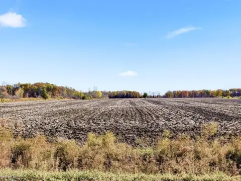 Agricultural Land Parcel