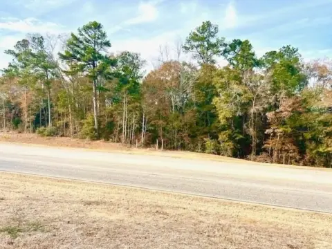 Andalusia Commercial Land For Sale