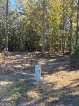 Woodbine, GA Residential Land