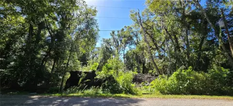 Wooded Lot in Ludlow Heights