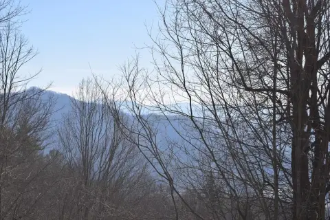 Wooded Land in Hills of Cataloochee