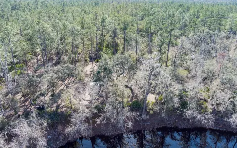 Cleared Suwannee River Waterfront Land