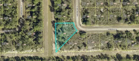 Residential Land in Lehigh Acres