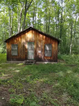 Wooded Recreation Land With Cabin