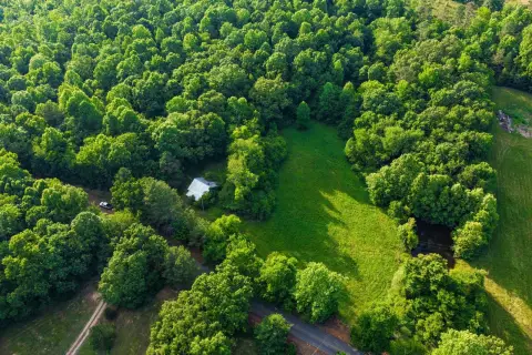 Wooded Land Tract with Road Frontage