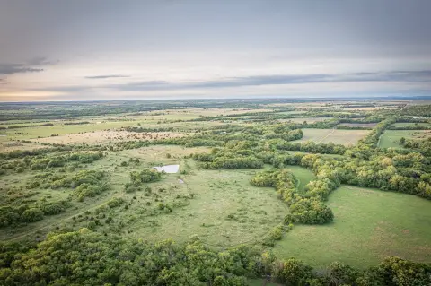 Hunting Land with Spring-Fed Creek
