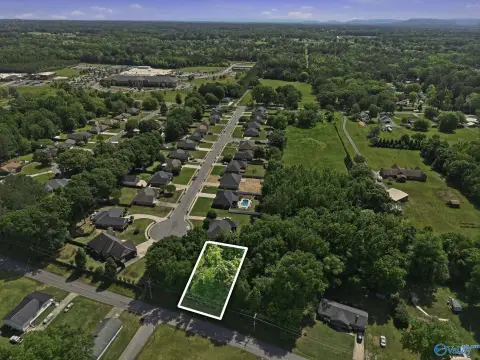 Wooded Lot in Hartselle, AL