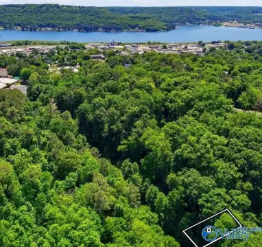 Residential Lot in Guntersville, AL