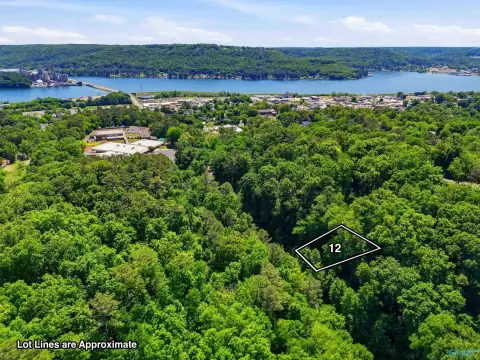 Residential Lot in Guntersville, AL