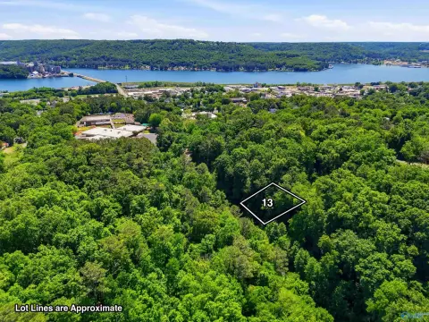 Residential Lot in Guntersville, AL