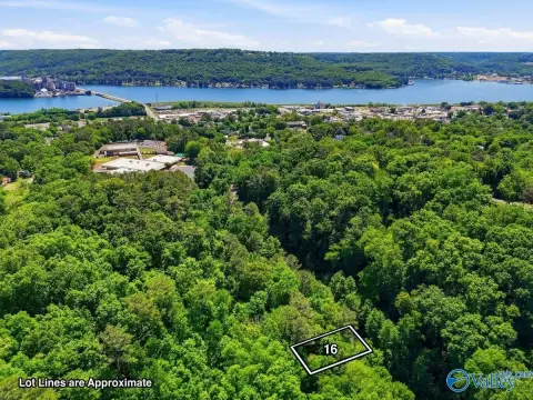 Residential Lot in Guntersville, AL