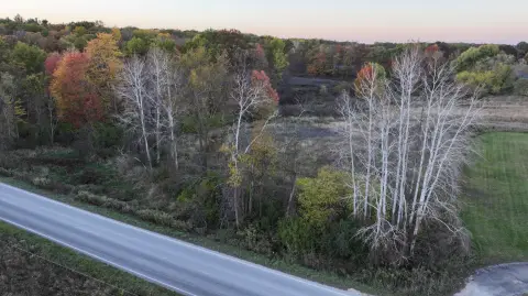 Land in Sand Lake, MI
