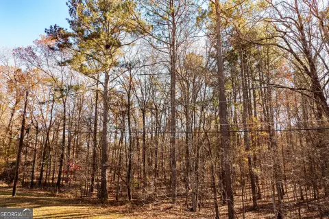 Residential Land in Rome, GA