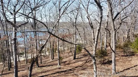Lakeview Lot in Gravois Mills