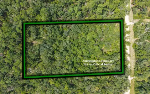 Wooded A1 Land Parcel