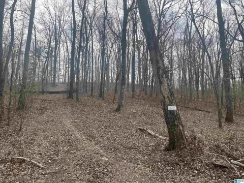 2.52 Acre Wooded Lot