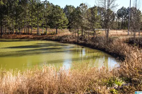 42-Acre Multi-Use Opportunity