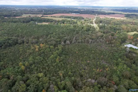 Timbered Land with Stream