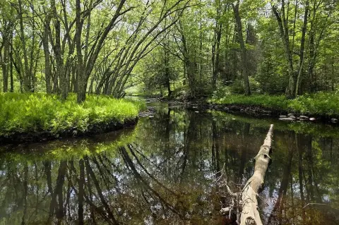 Waterfront Land with River Frontage