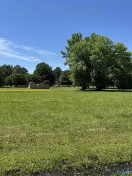Priceville Acre Building Site