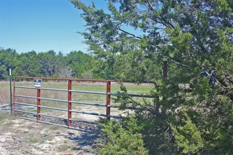 20 Acres of Wooded Land