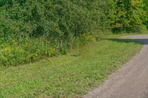 Vacant Wooded Lot Near Beach