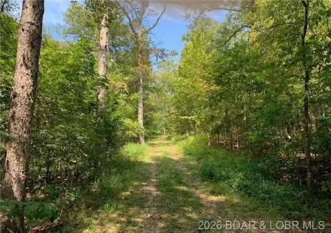 Wooded Acres with Majestic Views