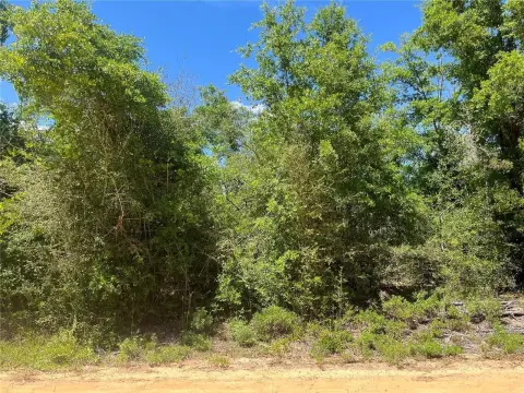 Wooded Lot Near Compass Lake
