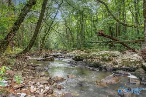 Private Hunting Land with Creek