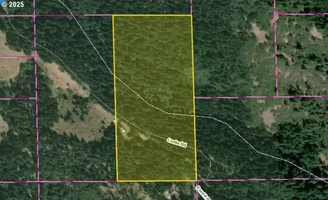 Secluded Land Bordering National Forest