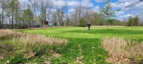Hunting Land Near Uhrichsville