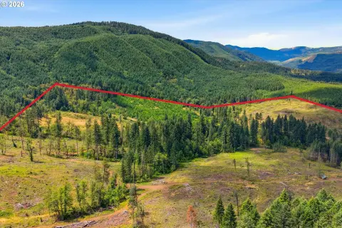 Timber Hunting Land