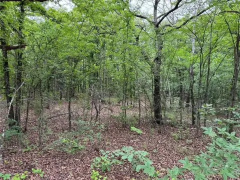 Wooded Agricultural Land