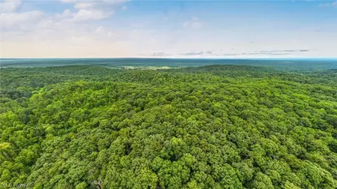 Wooded Recreational Land