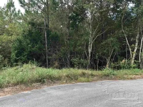 Wooded Lot in Milton, FL