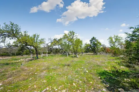 Residential Building Lot with Trees