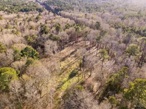 Wooded Pasture Land Tract