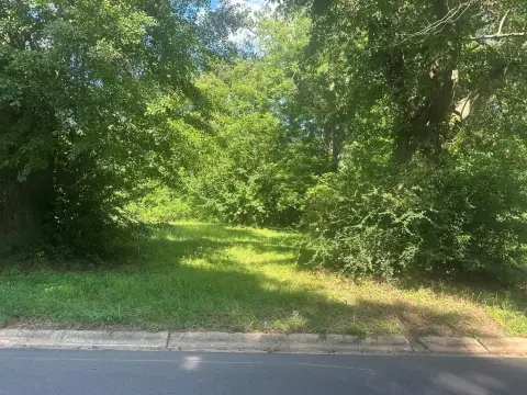 Residential Land in Downtown Dothan