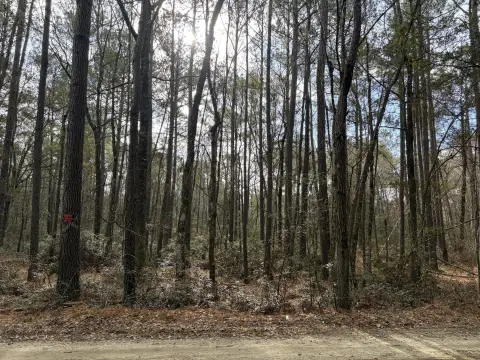 Wooded Lot in McClellanville, SC