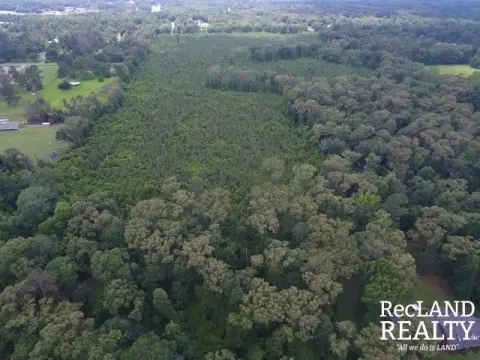 Timber Tract with Multiple Road Access
