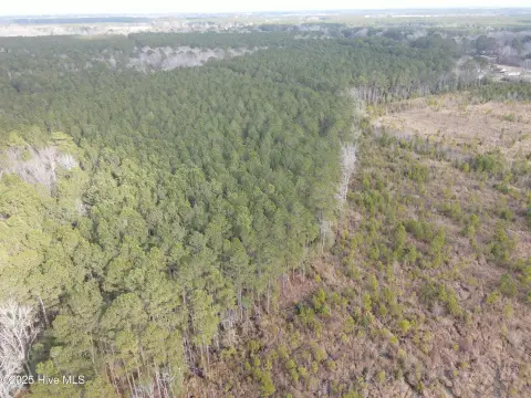 Wooded Land in Hertford County