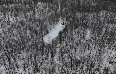 Curran, MI Hunting Land