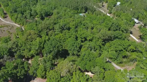 1.72 Acres Wooded Homesite