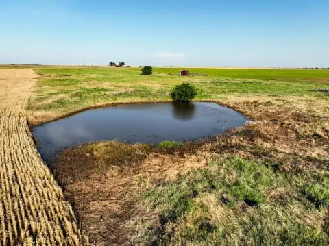 79.52 Acres of Farmland